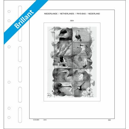 Nachtrag Niederlande 2024 Brillant